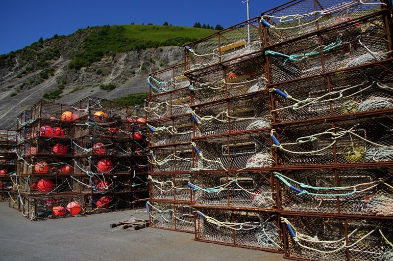 Crab pods in Kodiak Harbor