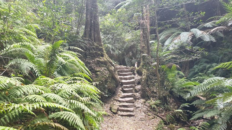 Grand Canyon Walking Track