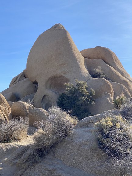 Skull Rock at Joshua Tree National Park