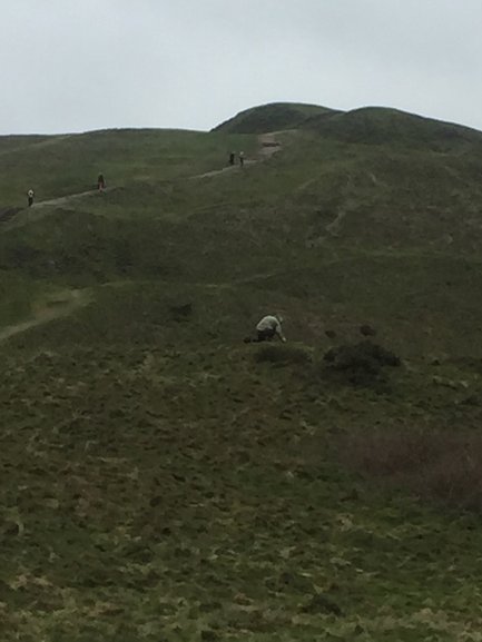 The path on the way to the Beacon