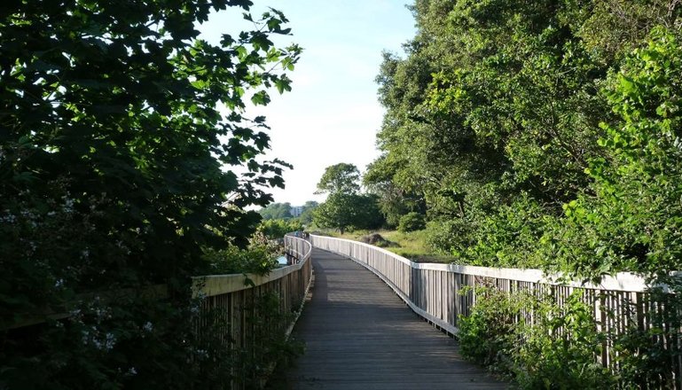 The Exe Estuary Cycle Trail