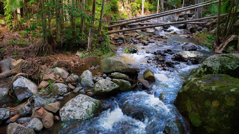 The creek after some rainfall gives you some lovely cascades over the rocks in its path