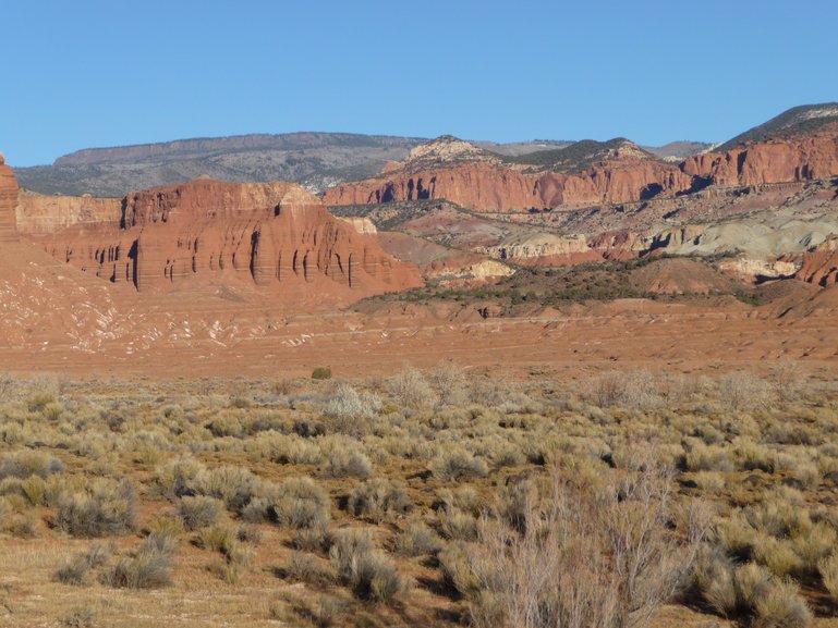 Sage Brush Desert 