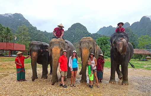Interacting with Elephants in Thailand