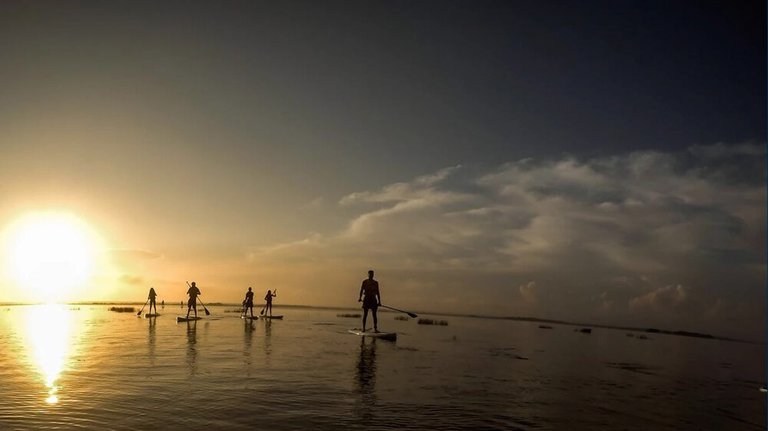 Sunrise paddleboarding