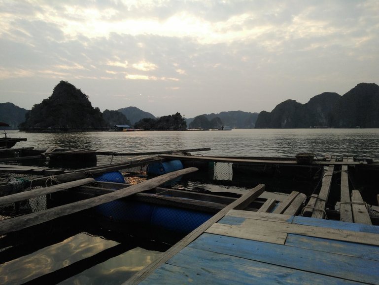 Halong Bay 