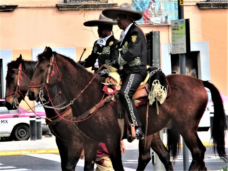 Mariachi Musicians on Horseback