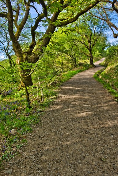 Only about a quarter of the uphill track that winds back to the car park