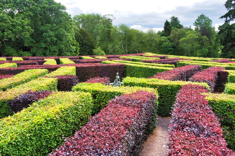 Test yourself in the maze in the gardens