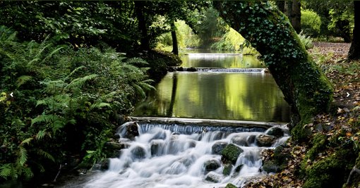 A Stroll Around Thorp Perrow Arboretum