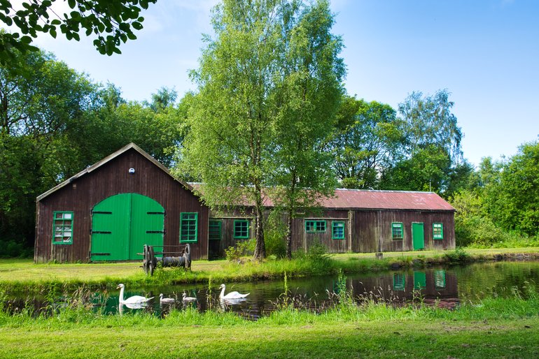 Walking along the canal where you can see swans and rabbits (although the rabbits won't let you get close.)