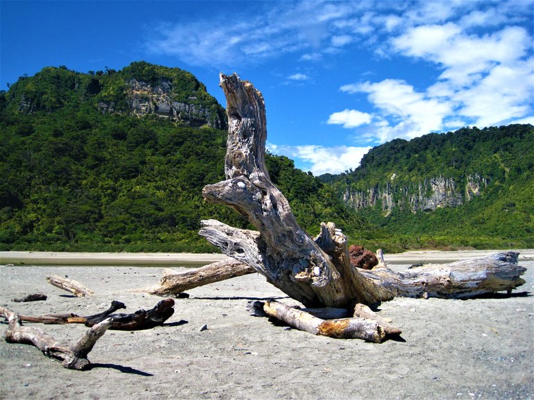 Punakaiki Beach