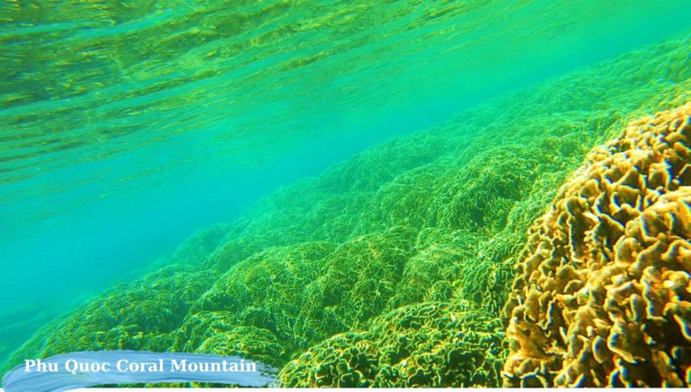 Coral Mountain, Best Snorkeling spots in Phu Quoc Island