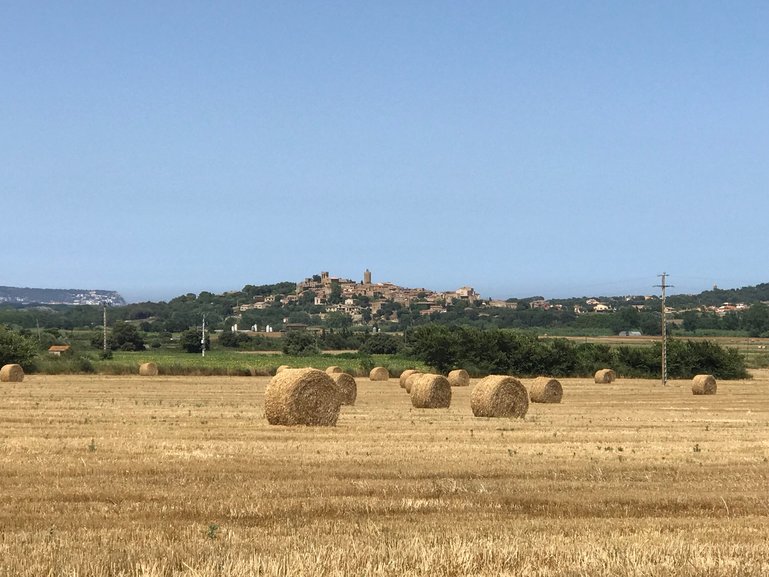 Straw balls