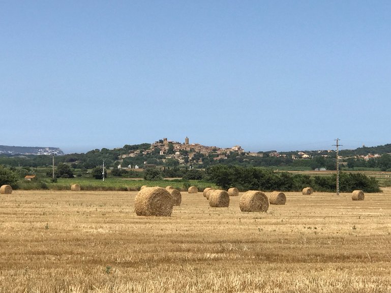 Straw balls 