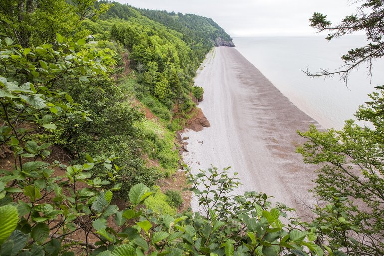 Beach in Fundy Bay