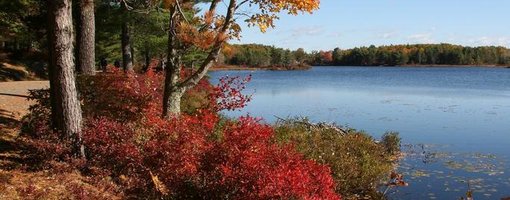 Acadia National Park, the Only National Park in Northeastern USA