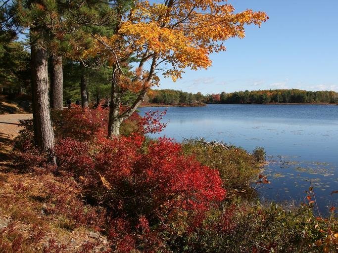 Carriage Road and Lake in Acadia National Park