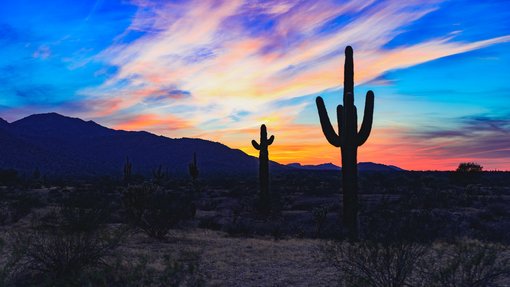 Getting around urban Arizona