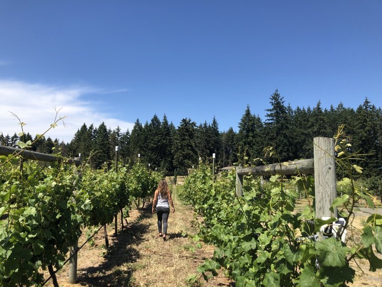 Bianca walking through a vineyard