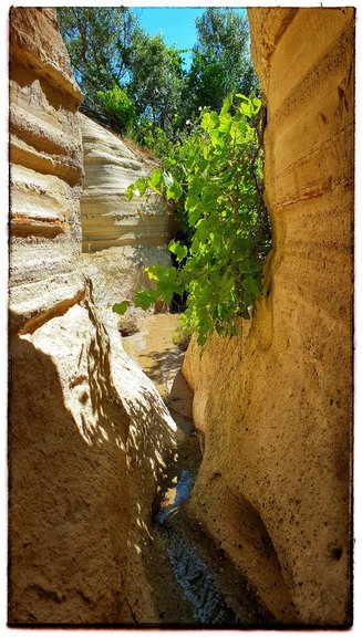 Hidden places along the trail, open your eyes, dare to explore!