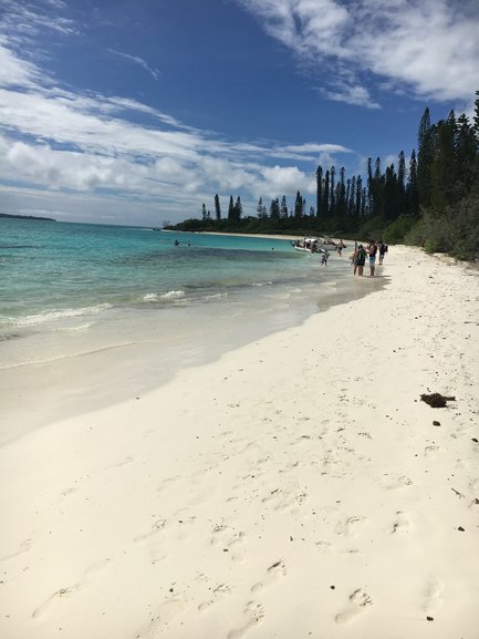 Isle of Pines