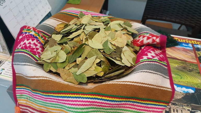 Coca leaves in Cusco airport