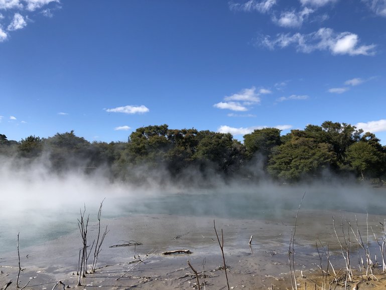 The steaming waters of Lake Kuirau in Kuirau Park
