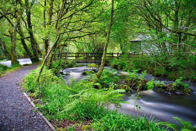 Water passes close to the path with bridges helping navigate over tributaries