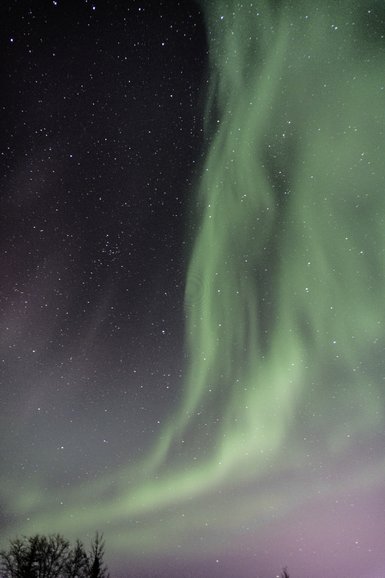 Looking up! Stars and northern lights.