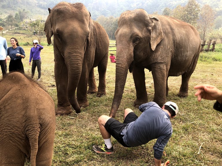 Hanging with Asian Elephants at Rescue Sanctuary