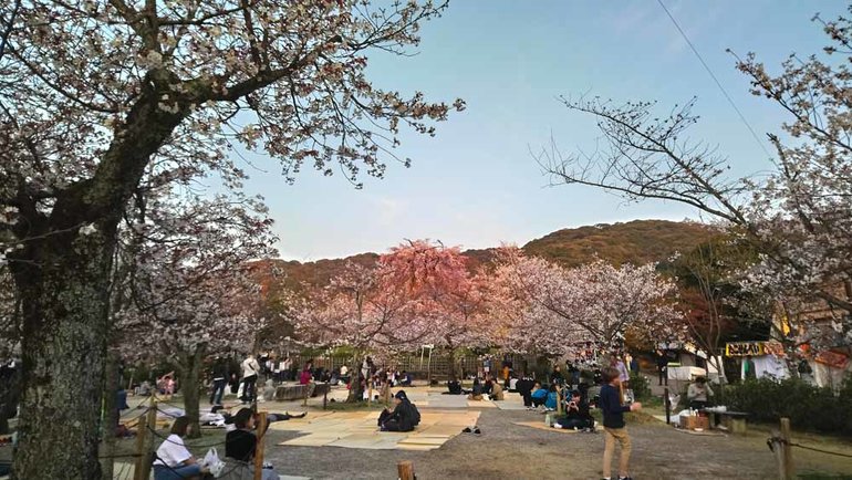 People at the Maruyama Park