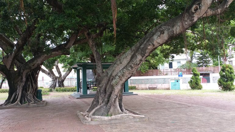 Essex Crescent Rest Garden