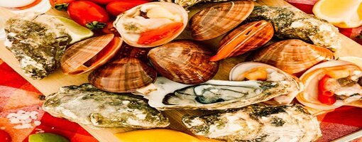 Fresh oysters and clams from the catch of the day