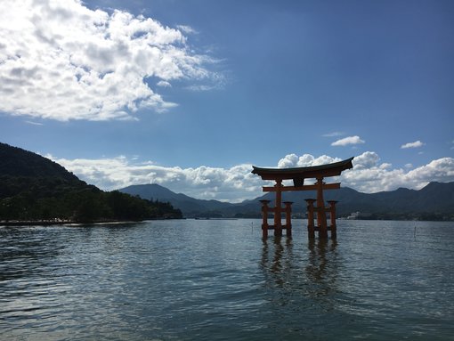 The Floating Torii