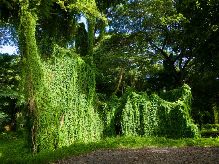 Josefina is a unique place for trekking and slow travel without leaving Havana.