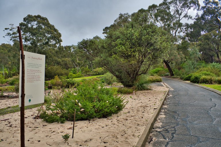 Information boards give you the history of plant life
