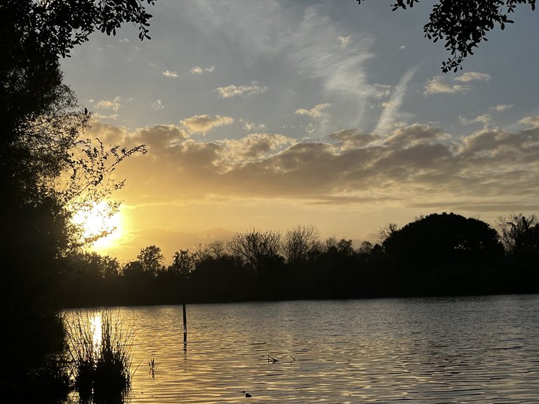 Bayou
