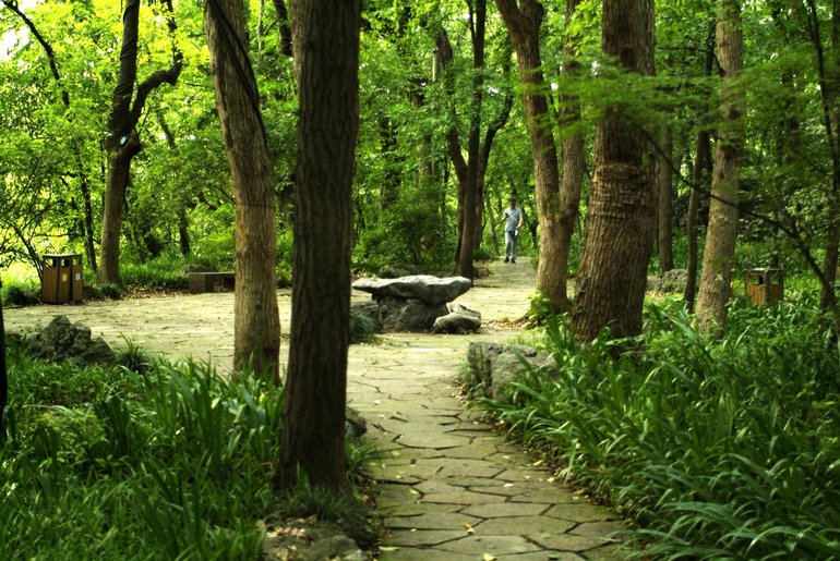 A park area on Wushan, near the pavilion