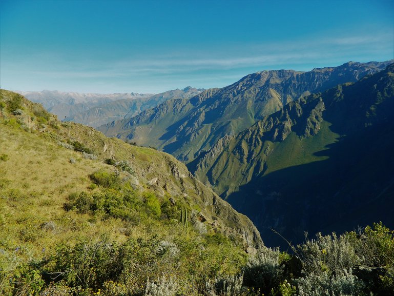 Colca Canyon