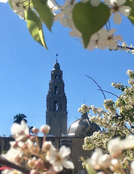 Balboa Park, San Diego