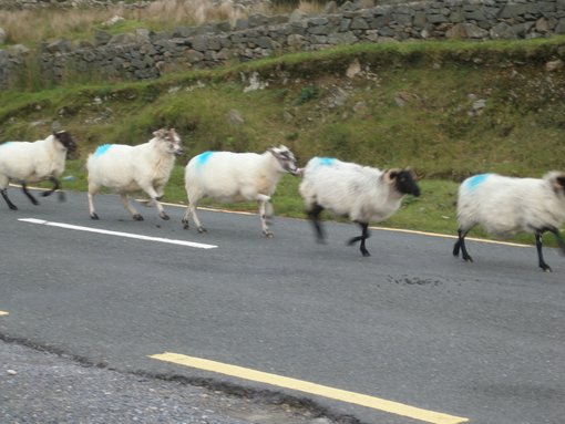 Getting around in Ireland (Republic) - by car