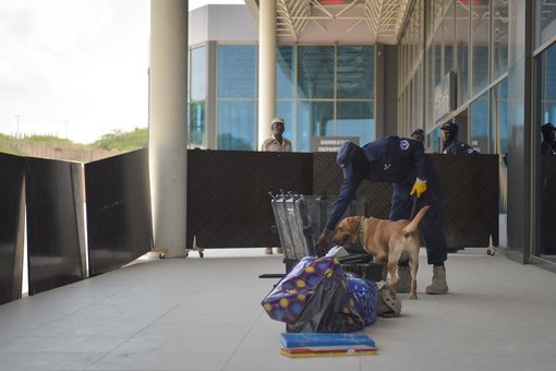 Drug detection dogs