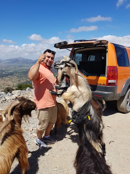 More curious and hungry goats