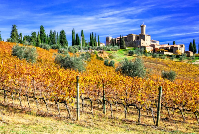 Picturesque Tuscany Vineyards and Castello Banfi 