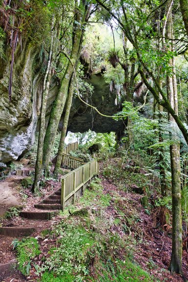 The stairs leading down from Natural Bridge to the loop track