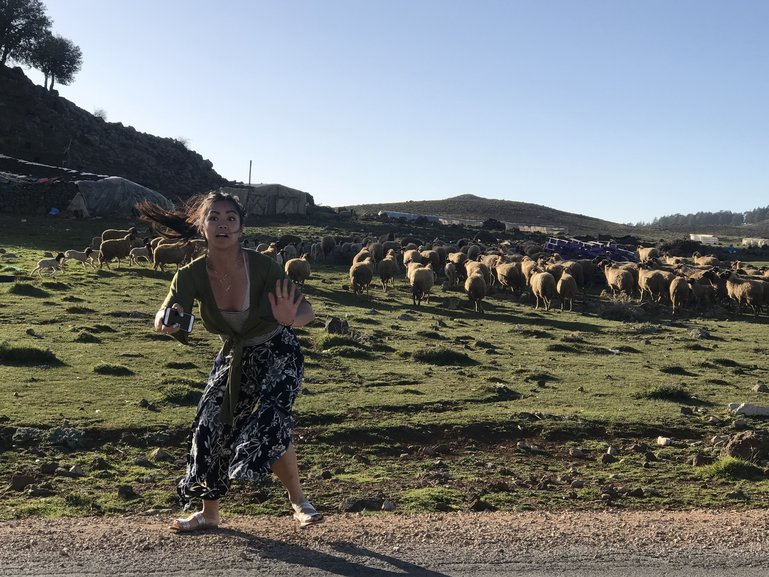 Jayme Hearing The Sheep Dog Coming For Her