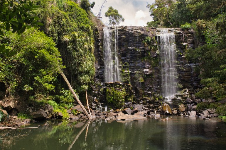 Your reward at the end of the walk is the beautiful Te Wairere Falls.