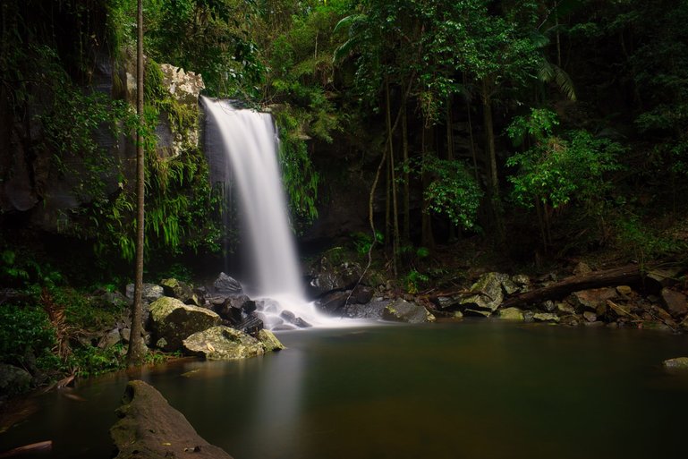 The beautiful Curtis Falls is a popular spot for families and photographers alike