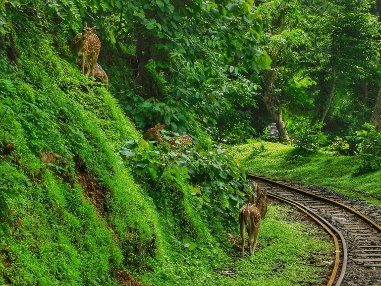 Maharashtra National Park